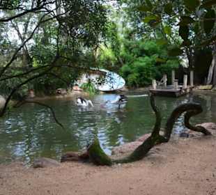 Feather Dale Wildlife Park