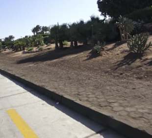 Stadtbesichtigung El Gouna