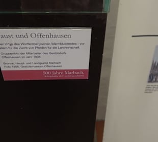 Gestütsmuseum Offenhausen