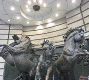 Konie przy Piccadilly Circus