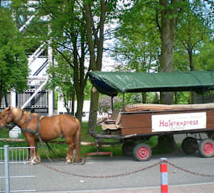 Schiffshebewerk Niederfinow