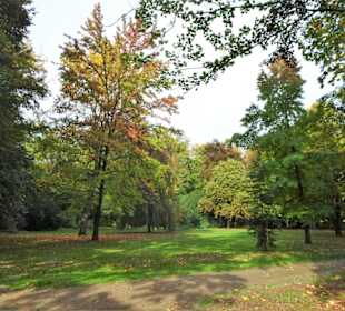 Spaziergang durch den Stadtpark Versmold
