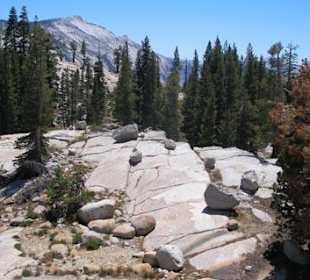 Yosemite Nationalpark