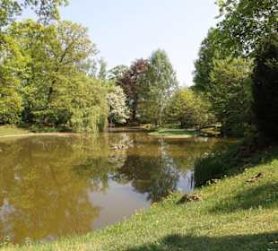 Der See