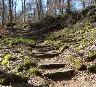 Wanderung Kirnberg-Runde Bebenhausen