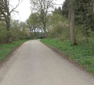 Wanderweg Kunst der kleinen Schritte