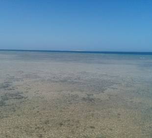 Das rote Meer