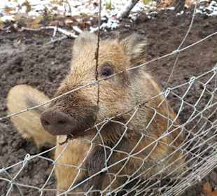 Vielleicht hilft ein super Blick?