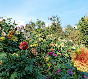 Die Gärten von Schloss Trauttmansdorff  	