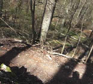 Wanderweg Hochgehkämpft