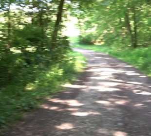 Waldinformationssystem „Lebendiger Wald“