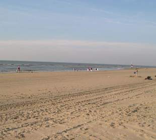 Strand von Zandvoort