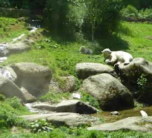Tierpark Hellabrunn