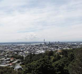 Blick vom Vulkan über Auckland