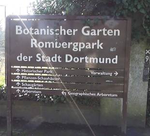 Botanischer Garten - Rombergpark