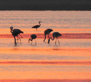 Sonnenuntergang am Salzsee