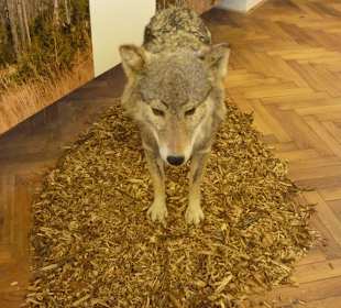 Národní zemědělské muzeum