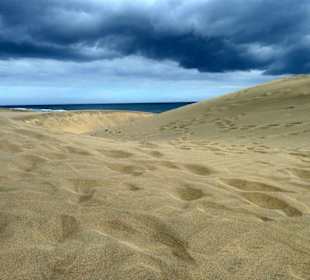 Dünen von Playa del Ingles
