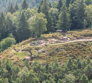 Musée champ de bataille Le Linge