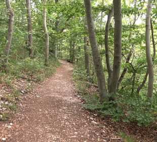 Hochgeträumt Premiumwanderung