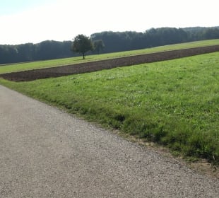 Kelten-Erlebnis-Pfad Erkenbrechtsweiler