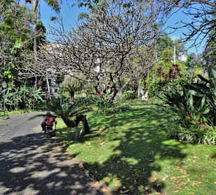 Impressionen aus dem Stadtpark von Funchal