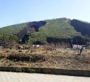 Vulkan Montaña del Palmar in Buenavista del Norte