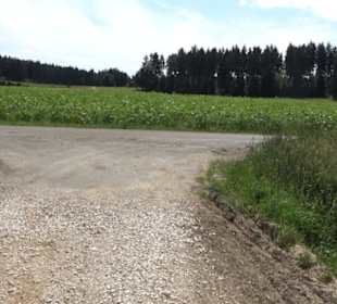 Wanderung Froschteich-Tour