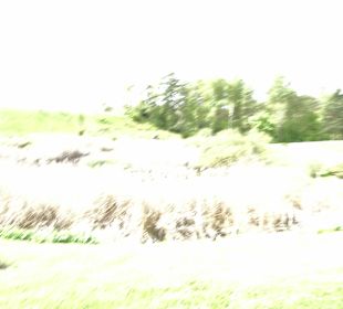 Garten Hohenheim
