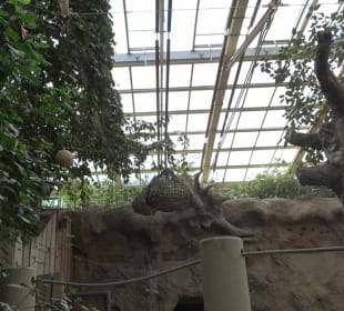Zoo Heidelberg