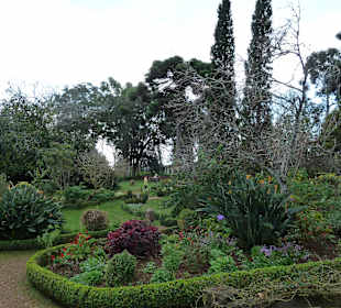 Blick durch den Garten