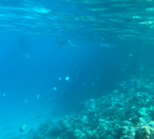 Schnorcheln Makadi Bay