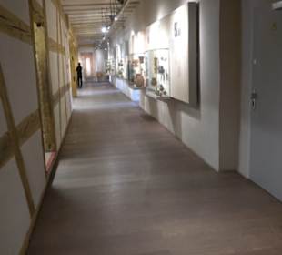 Museum Alte Kulturen