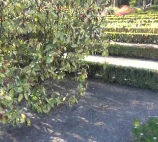 Real Jardín Botánico de Madrid