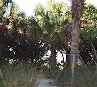 Siesta Key Beach