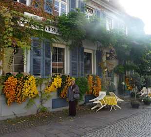 Lahr Chrysanthema