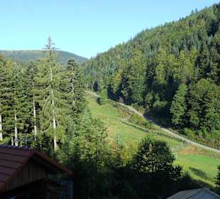 Weg zum "Seibelseckle"