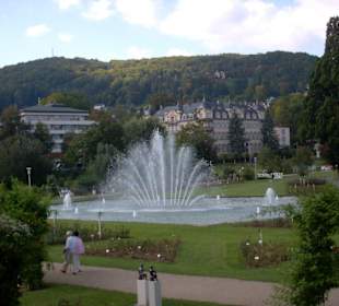 Blick in den Rosengarten