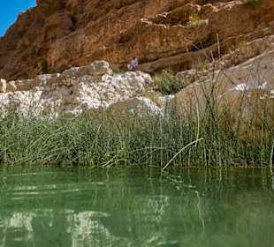 Am Wadi Shab