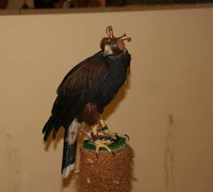 Die Vögel