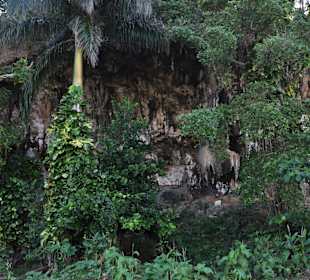Östlich am Weg zum Humbold Nationalpark