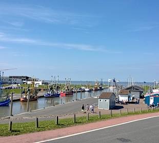 Blick vom Deich