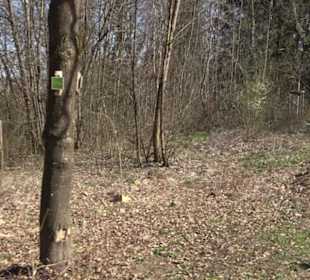 Premiumwanderweg "hochgeblickt"