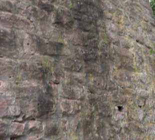 Burgruine Sterneck