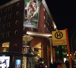 Musical "Tarzan" - 15 Minuten Fußweg