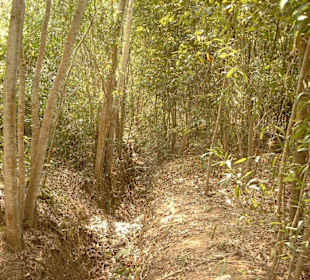 Gelände rund um das Tunnelsystem