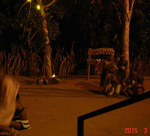 Krüger Nationalpark