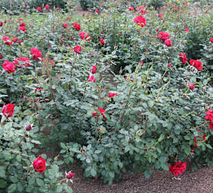 Mission Santa Barbara