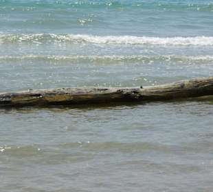 Strand von Bibione 06-2010