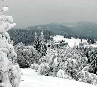 Schneeschuhwanderung am Feldberg 